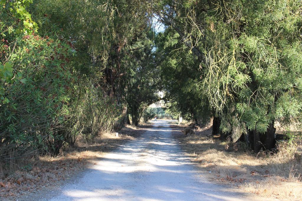 Quinta Do Valle Tomar Dış mekan fotoğraf