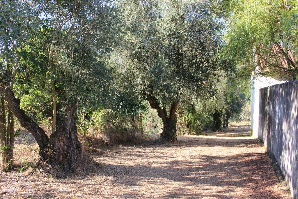 Quinta Do Valle Tomar Dış mekan fotoğraf