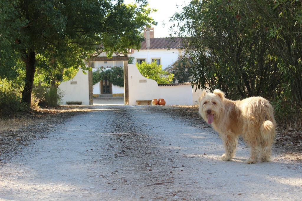 Quinta Do Valle Tomar Dış mekan fotoğraf