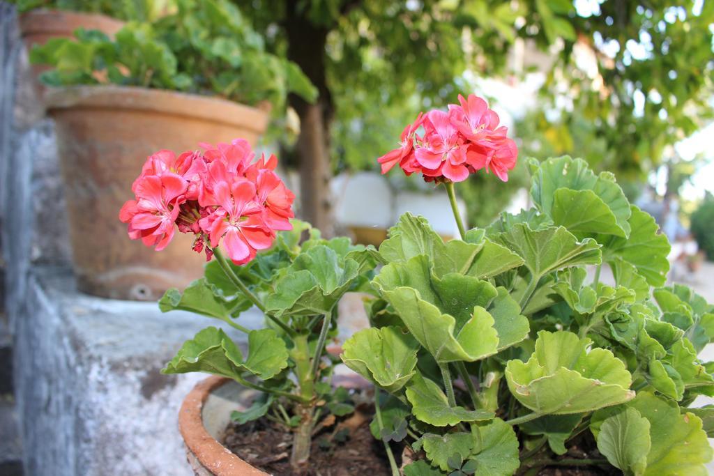 Quinta Do Valle Tomar Dış mekan fotoğraf